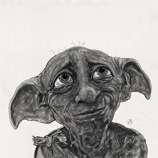 Viverra orci dapibus