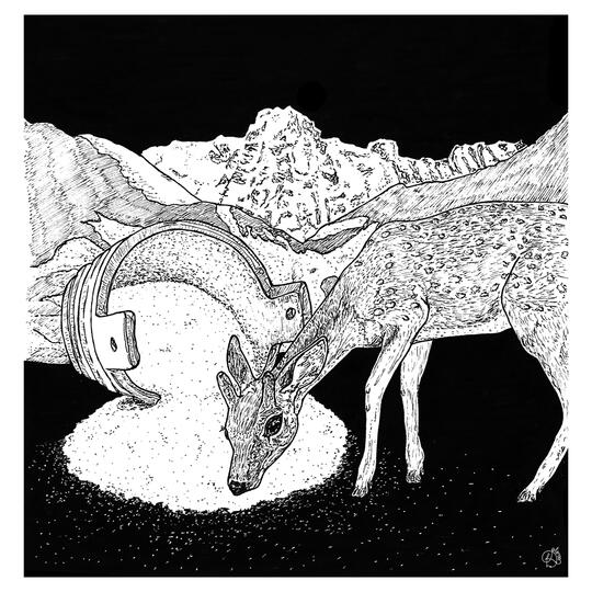 Vitae diam dignissim